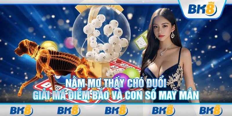 Nằm mơ thấy chó đuổi: Giải mã điềm báo và con số may mắn