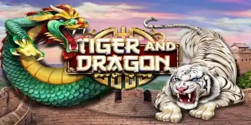 Tìm hiểu sơ lược về Dragon Tiger
