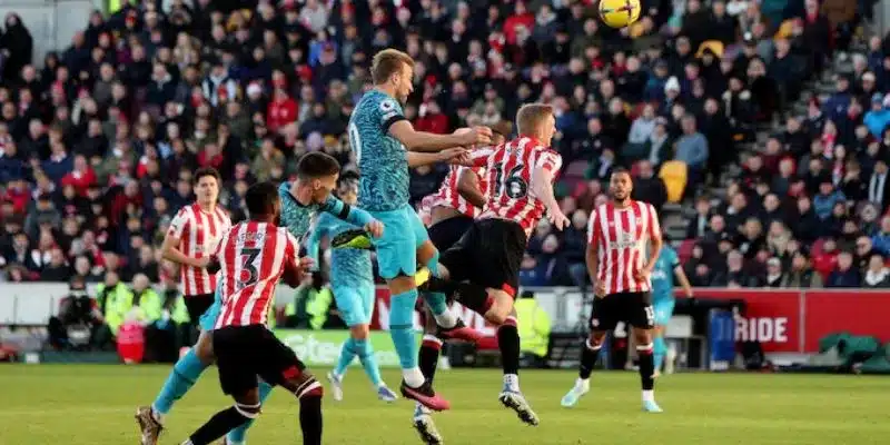 Nhận định kết quả trận Brentford vs Tottenham ngày 02/02/2025